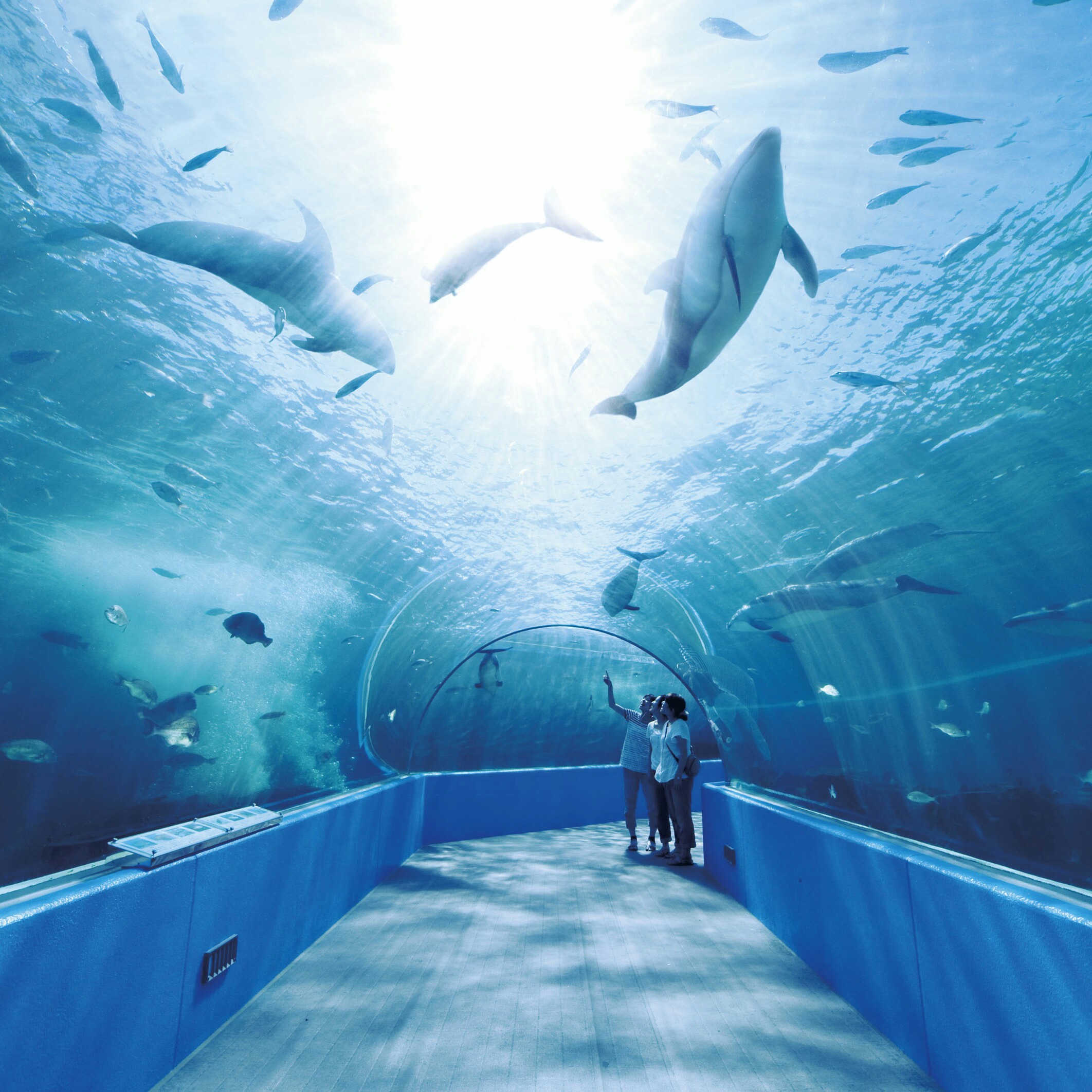 のとじま水族館